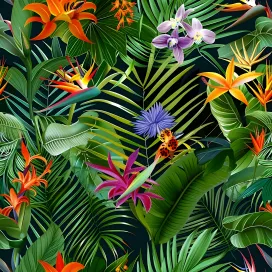 Jungle 316